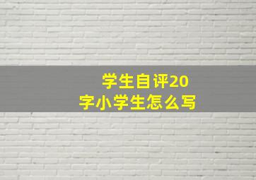 学生自评20字小学生怎么写