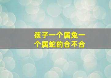 孩子一个属兔一个属蛇的合不合