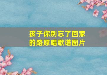 孩子你别忘了回家的路原唱歌谱图片