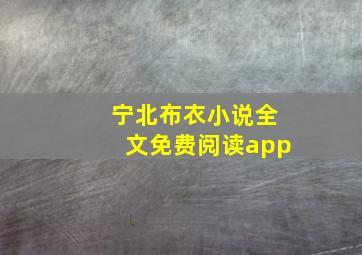 宁北布衣小说全文免费阅读app