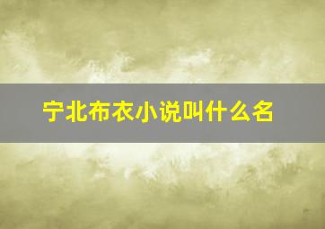 宁北布衣小说叫什么名