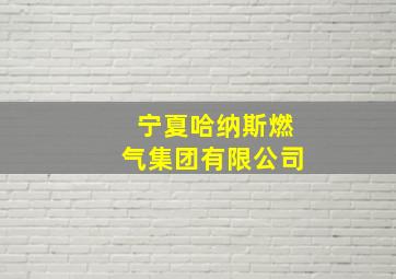 宁夏哈纳斯燃气集团有限公司