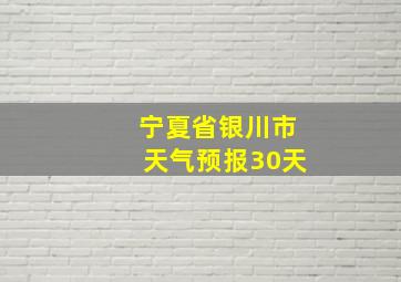 宁夏省银川市天气预报30天