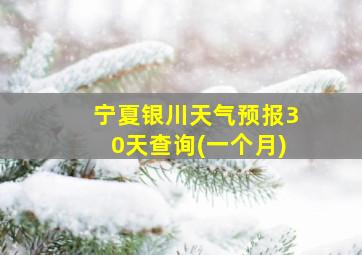 宁夏银川天气预报30天查询(一个月)