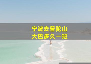 宁波去普陀山大巴多久一班