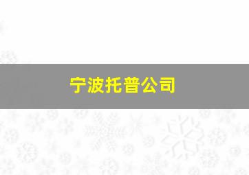 宁波托普公司