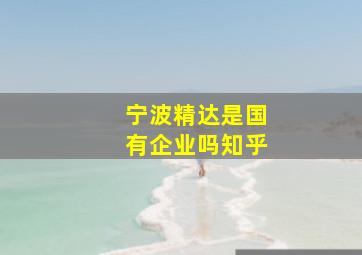 宁波精达是国有企业吗知乎