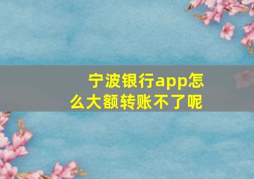 宁波银行app怎么大额转账不了呢