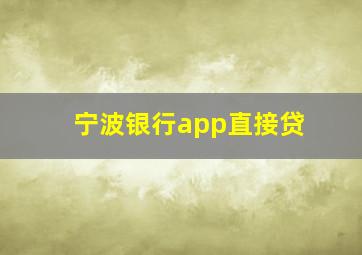 宁波银行app直接贷