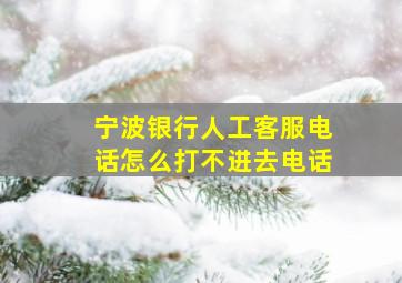 宁波银行人工客服电话怎么打不进去电话