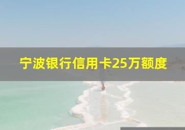 宁波银行信用卡25万额度