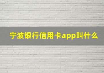 宁波银行信用卡app叫什么