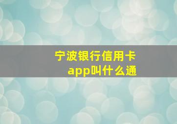 宁波银行信用卡app叫什么通