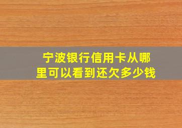 宁波银行信用卡从哪里可以看到还欠多少钱