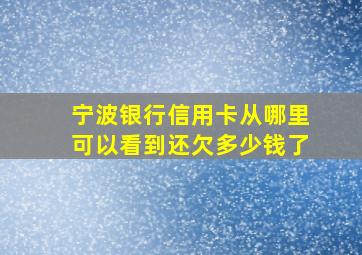 宁波银行信用卡从哪里可以看到还欠多少钱了