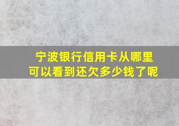 宁波银行信用卡从哪里可以看到还欠多少钱了呢