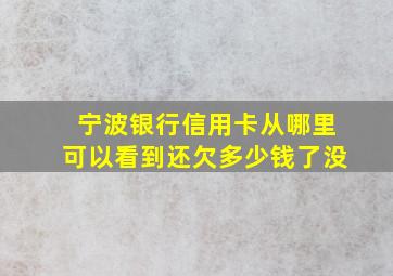 宁波银行信用卡从哪里可以看到还欠多少钱了没