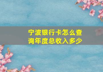 宁波银行卡怎么查询年度总收入多少