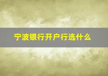 宁波银行开户行选什么