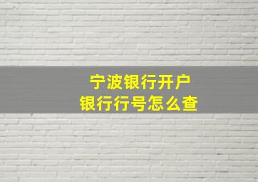 宁波银行开户银行行号怎么查