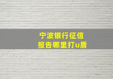 宁波银行征信报告哪里打u盾