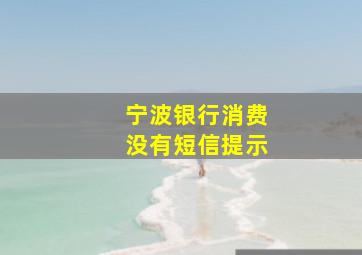 宁波银行消费没有短信提示