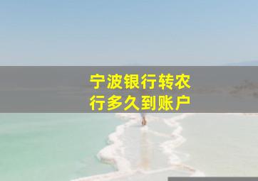 宁波银行转农行多久到账户