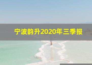 宁波韵升2020年三季报