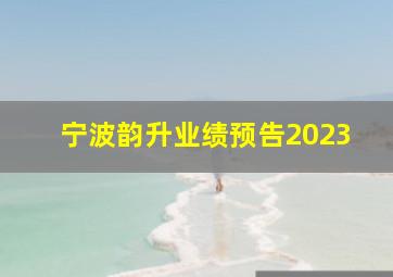 宁波韵升业绩预告2023