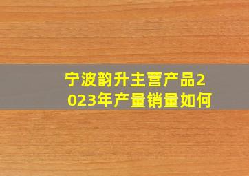 宁波韵升主营产品2023年产量销量如何