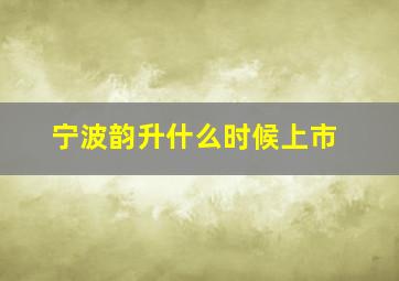 宁波韵升什么时候上市