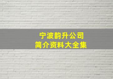 宁波韵升公司简介资料大全集