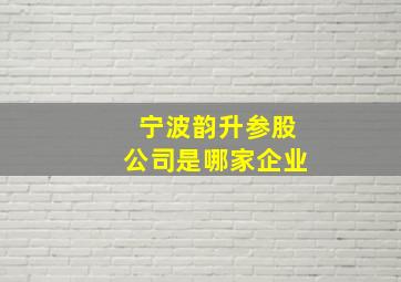 宁波韵升参股公司是哪家企业