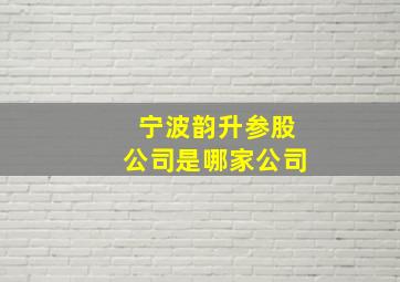 宁波韵升参股公司是哪家公司