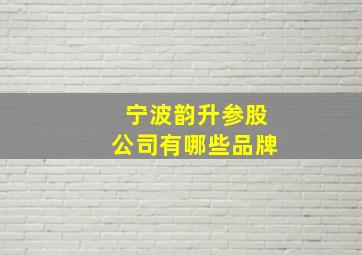 宁波韵升参股公司有哪些品牌