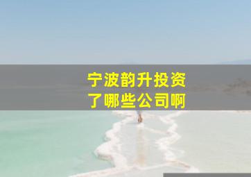 宁波韵升投资了哪些公司啊