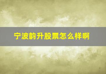 宁波韵升股票怎么样啊