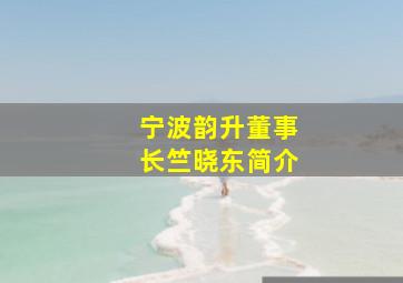 宁波韵升董事长竺晓东简介