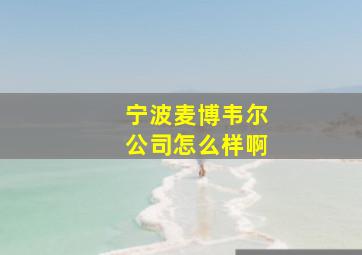 宁波麦博韦尔公司怎么样啊