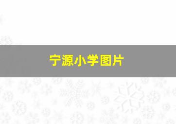 宁源小学图片