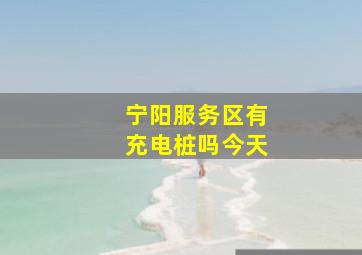 宁阳服务区有充电桩吗今天