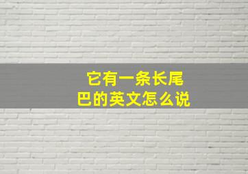 它有一条长尾巴的英文怎么说