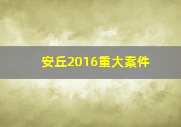 安丘2016重大案件