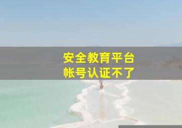 安全教育平台帐号认证不了