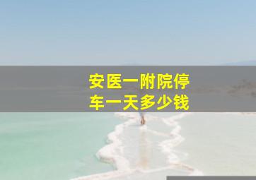 安医一附院停车一天多少钱