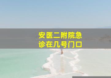 安医二附院急诊在几号门口