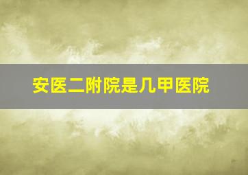 安医二附院是几甲医院