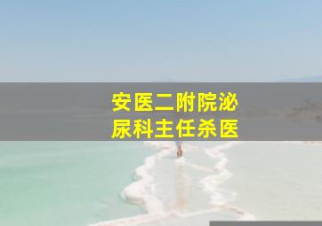 安医二附院泌尿科主任杀医