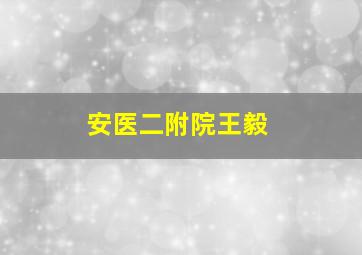 安医二附院王毅