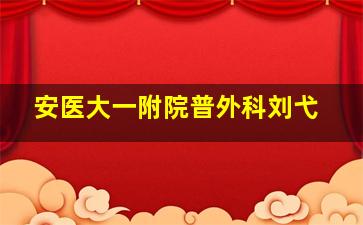 安医大一附院普外科刘弋